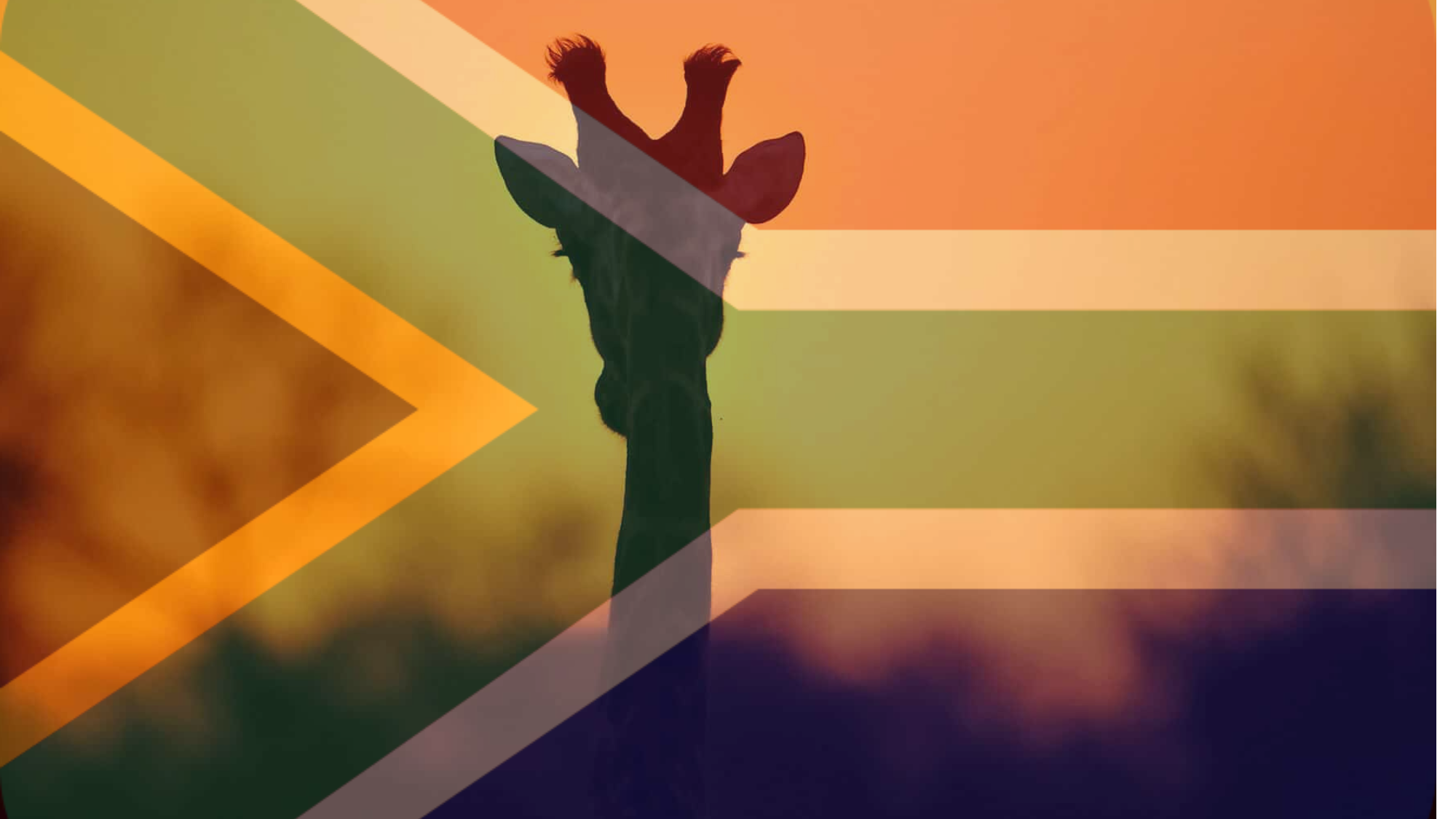 How Accurate Tax ID Validation Are Shaping Compliance in South Africa 