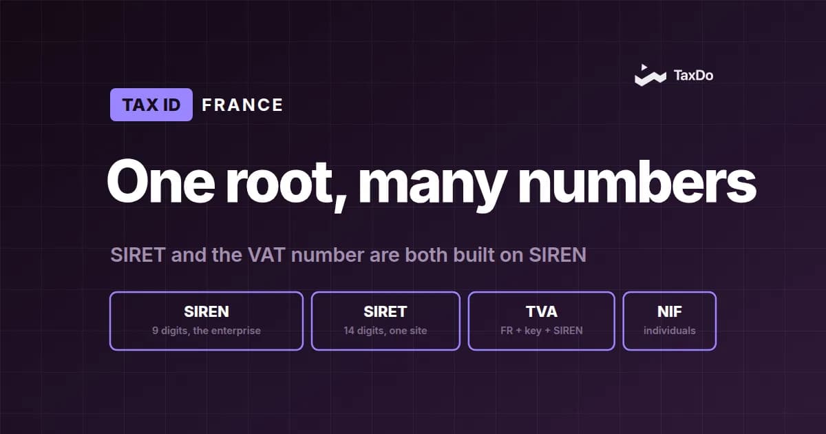 Why Accurate NIF & SIREN Verification Matters for Businesses Expanding into France