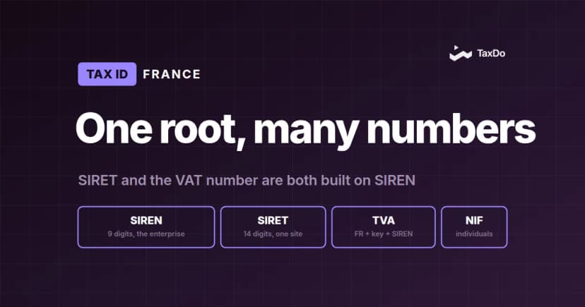 Why Accurate NIF & SIREN Verification Matters for Businesses Expanding into France
