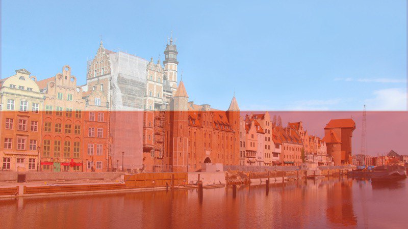Verifying Poland’s NIP: What International Companies Should Know? 