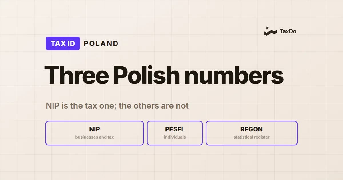 Verifying Poland’s NIP: What International Companies Should Know?