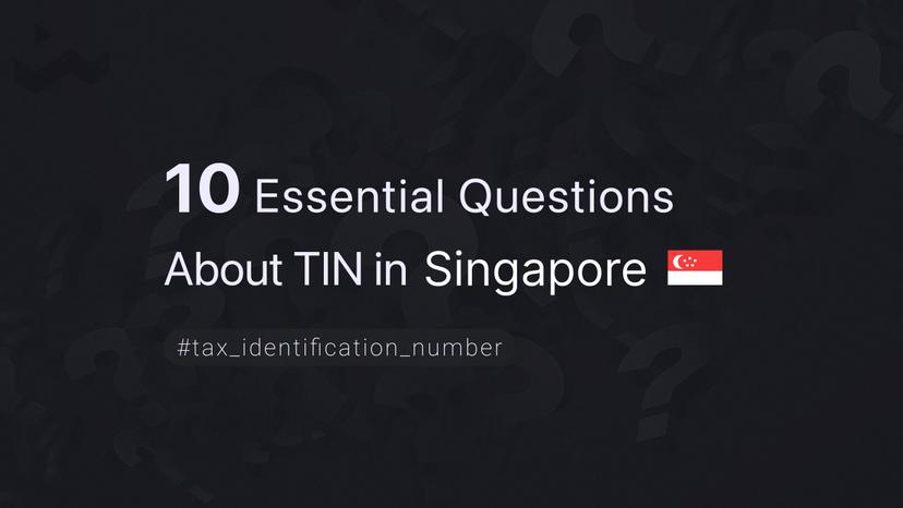 10 Essential Questions About TIN in Singapore
