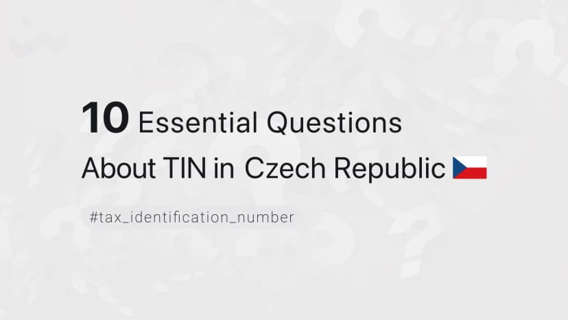 10 Essential Questions About TIN in the Czech Republic