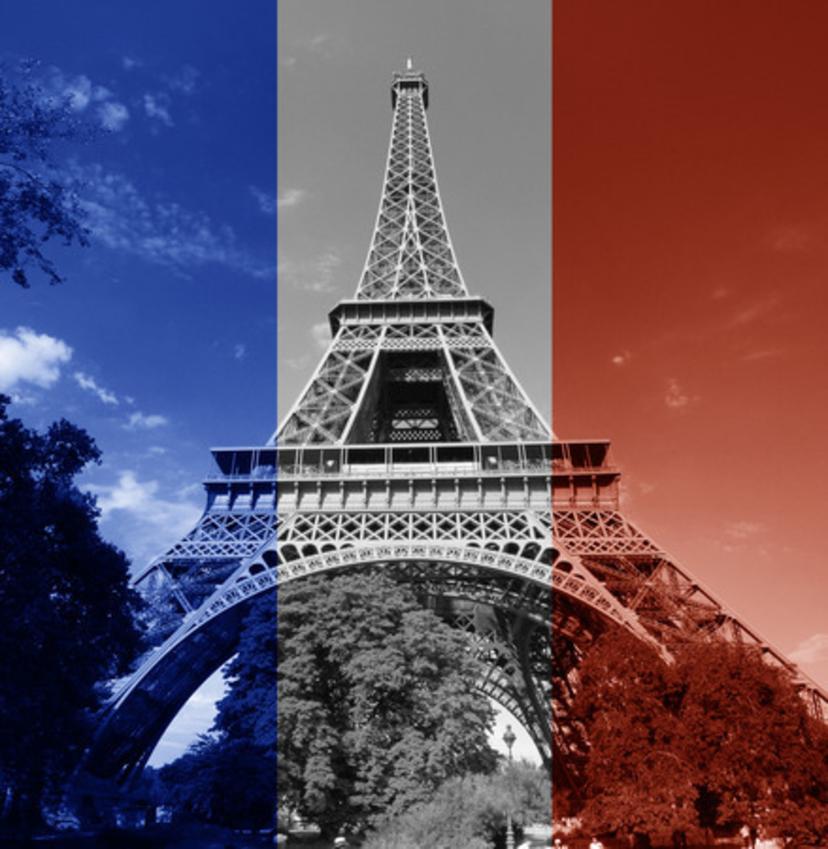 Why Accurate NIF & SIREN Verification Matters for Businesses Expanding into France