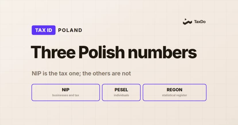 Verifying Poland’s NIP: What International Companies Should Know?