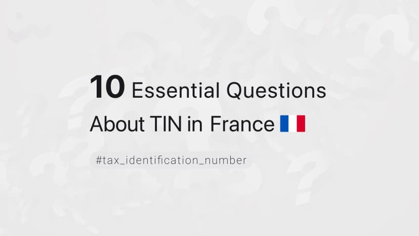 10 Essential Questions About TIN in France
