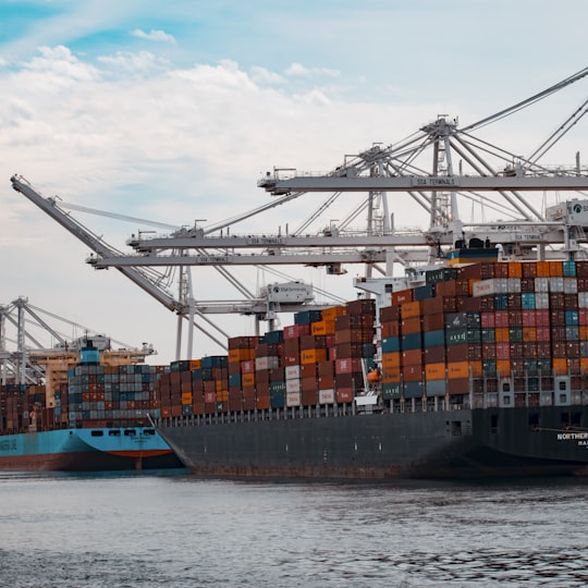 Cargo ships docked at a container terminal